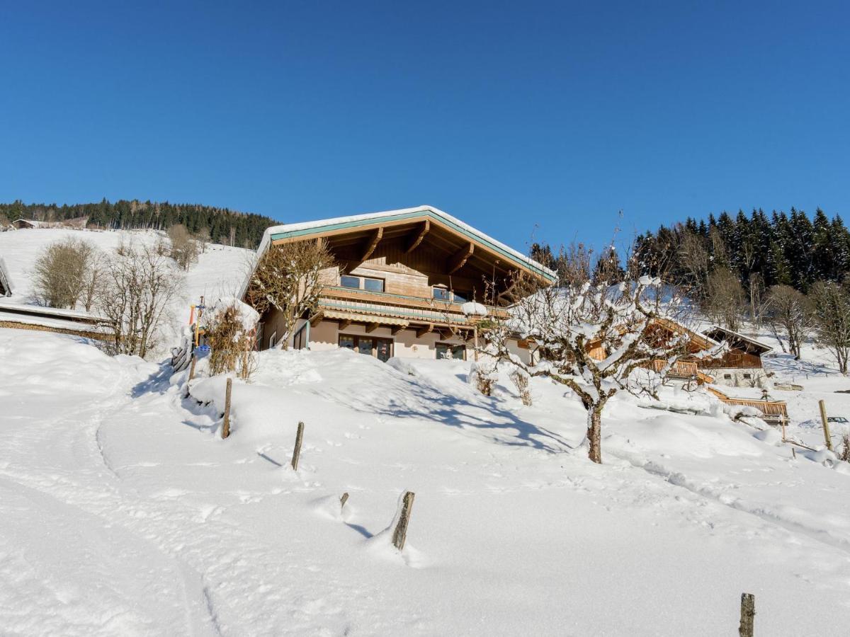 Apartment Near The Ski Area Saalbach-Hinterglemm Exterior foto